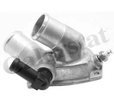 Термостат, охлаждающая жидкость CALORSTAT by Vernet купить