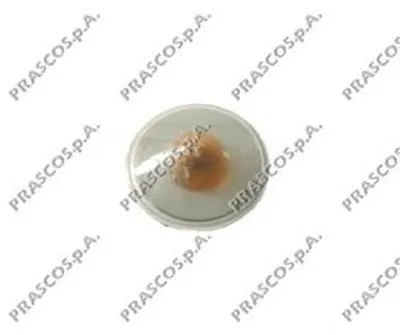 Фонарь указателя поворота PRASCO купить