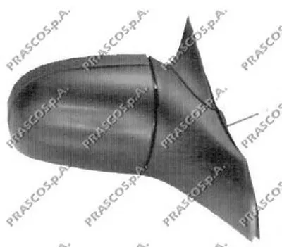 Наружное зеркало PRASCO купить