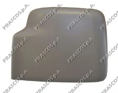 Покрытие, внешнее зеркало PRASCO купить