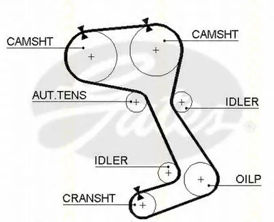 Ремень ГРМ TRISCAN купить