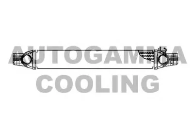 Интеркулер AUTOGAMMA купить