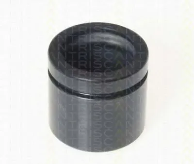 Поршень, корпус скобы тормоза TRISCAN купить