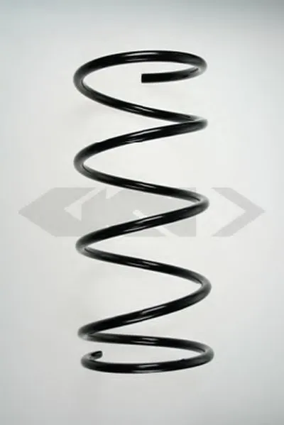 винтовая пружина SPIDAN купить
