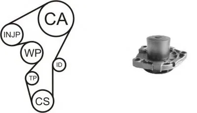 Водяной насос + комплект зубчатого ремня AIRTEX купить