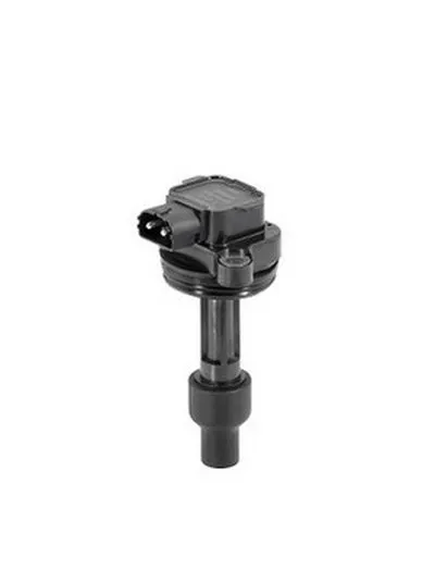 Катушка зажигания BERU купить