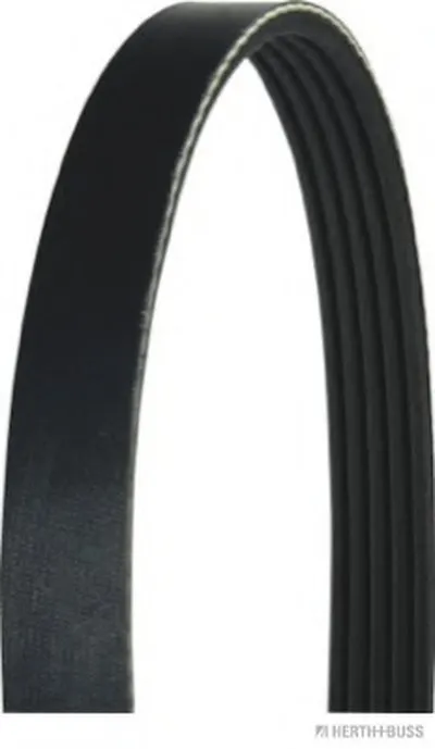 V-Ribbed Belts HERTH+BUSS JAKOPARTS купить