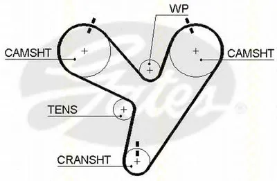 Ремень ГРМ TRISCAN купить