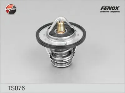 Термостат, охлаждающая жидкость FENOX купить