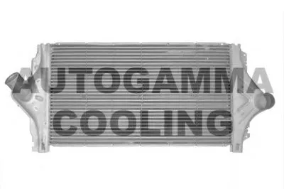 Интеркулер AUTOGAMMA купить