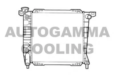 Радиатор, охлаждение двигателя AUTOGAMMA купить