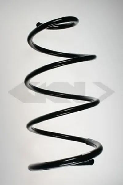 винтовая пружина SPIDAN купить