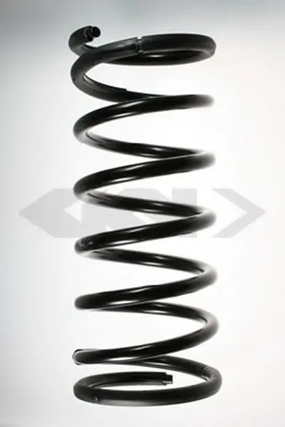 винтовая пружина SPIDAN купить