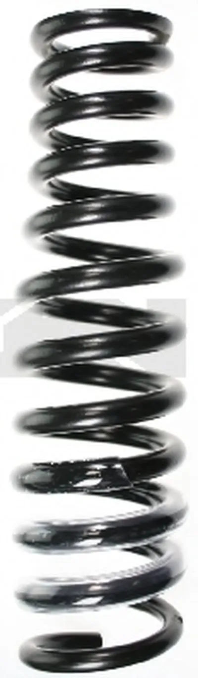 винтовая пружина SPIDAN купить