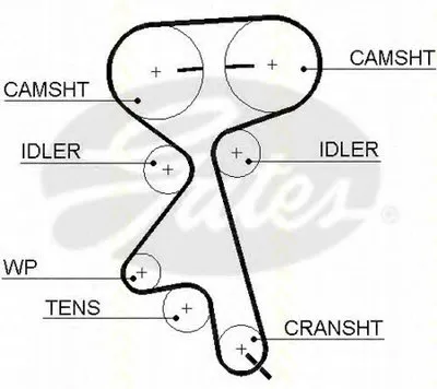 Ремень ГРМ TRISCAN купить