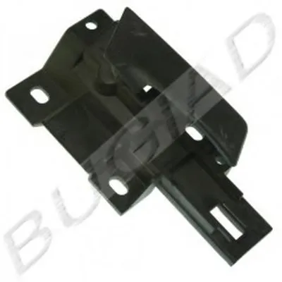 Ручка двери BUGIAD купить