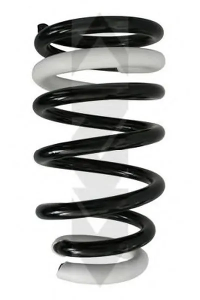 винтовая пружина SPIDAN купить