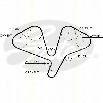 Ремень ГРМ TRISCAN купить