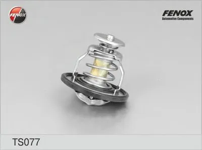 Термостат, охлаждающая жидкость FENOX купить