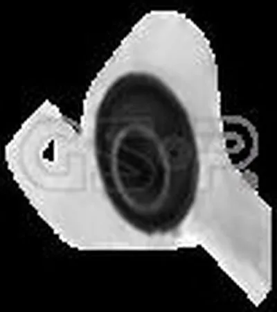 Кронштейн, подушки рычага GSP купить