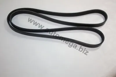 V-Ribbed Belts AutoMega Premium AUTOMEGA купить