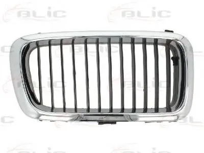 Решетка радиатора BLIC купить