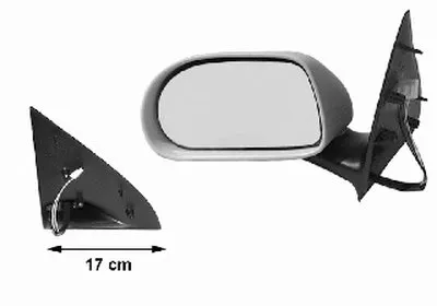 Наружное зеркало VAN WEZEL купить