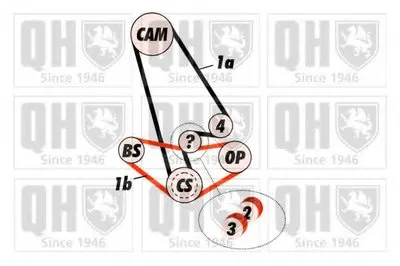 Ремень ГРМ QUINTON HAZELL купить