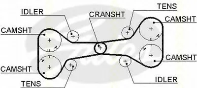 Ремень ГРМ TRISCAN купить