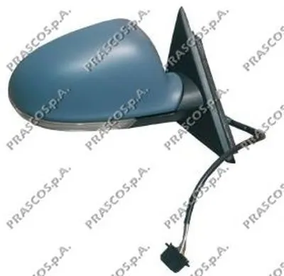 Наружное зеркало PRASCO купить