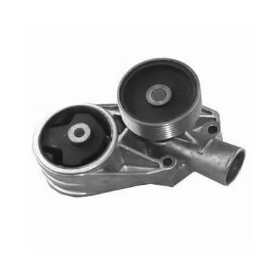 Водяной насос MASTER-SPORT купить