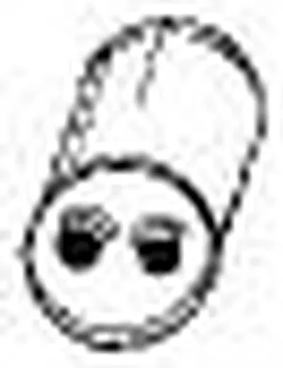 Средний глушитель выхлопных газов AKS DASIS купить