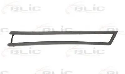 Облицовка, фонарь указателя поворота BLIC купить