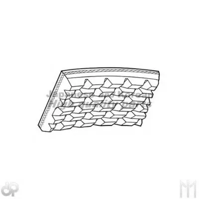 V-Ribbed Belts ASHUKI купить