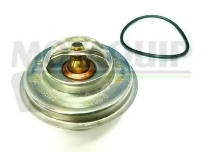 Термостат, охлаждающая жидкость MOTAQUIP купить