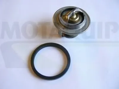 Термостат, охлаждающая жидкость MOTAQUIP купить