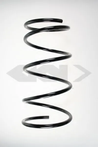винтовая пружина SPIDAN купить