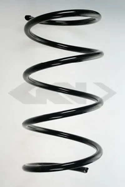 винтовая пружина SPIDAN купить