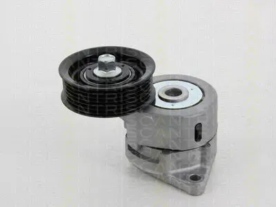 Натяжная планка, поликлиновой ремень TRISCAN купить