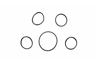 Комплект прокладок, впускной коллектор PAYEN купить