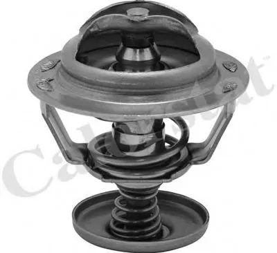 Термостат, охлаждающая жидкость CALORSTAT by Vernet купить