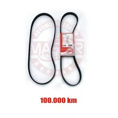 V-Ribbed Belts MASTER-SPORT купить