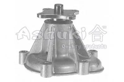 Водяной насос ASHUKI купить