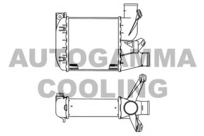 Интеркулер AUTOGAMMA купить