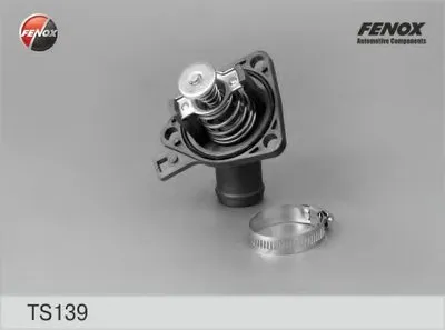 Термостат, охлаждающая жидкость FENOX купить