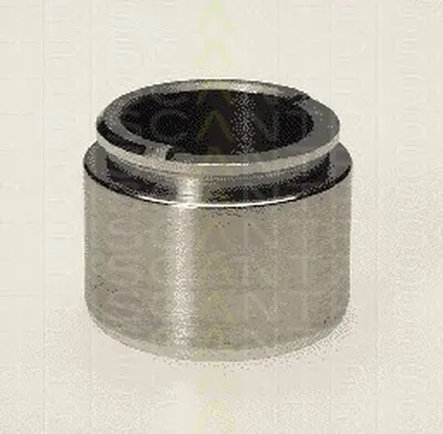 Поршень, корпус скобы тормоза TRISCAN купить