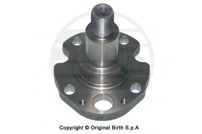 ? колесн. ступицы = BIRTH купить