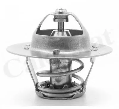 Термостат, охлаждающая жидкость CALORSTAT by Vernet купить