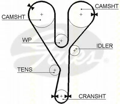 Ремень ГРМ TRISCAN купить