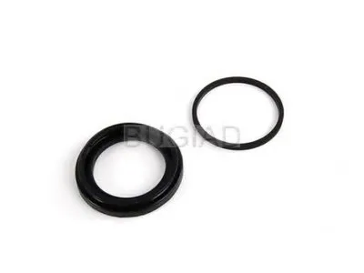 Комплект прокладок, корпус скобы тормоза BUGIAD купить